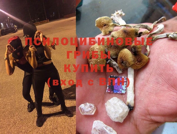а пвп мука Алзамай