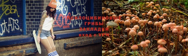соль курить ск Алексеевка