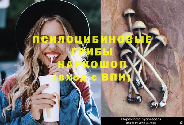 дживик Абдулино