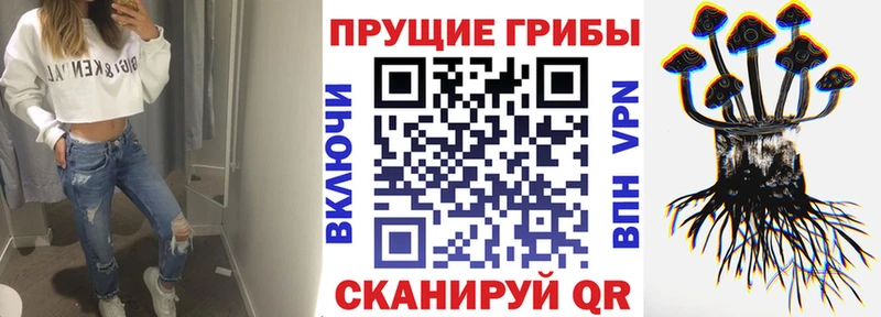 Псилоцибиновые грибы Psilocybine cubensis shop состав Оренбург